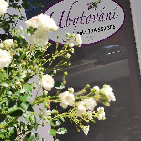 Apartman Cafe U Kordulky Ratiskovice Bagian luar foto